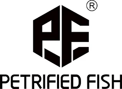 Petrified Fish