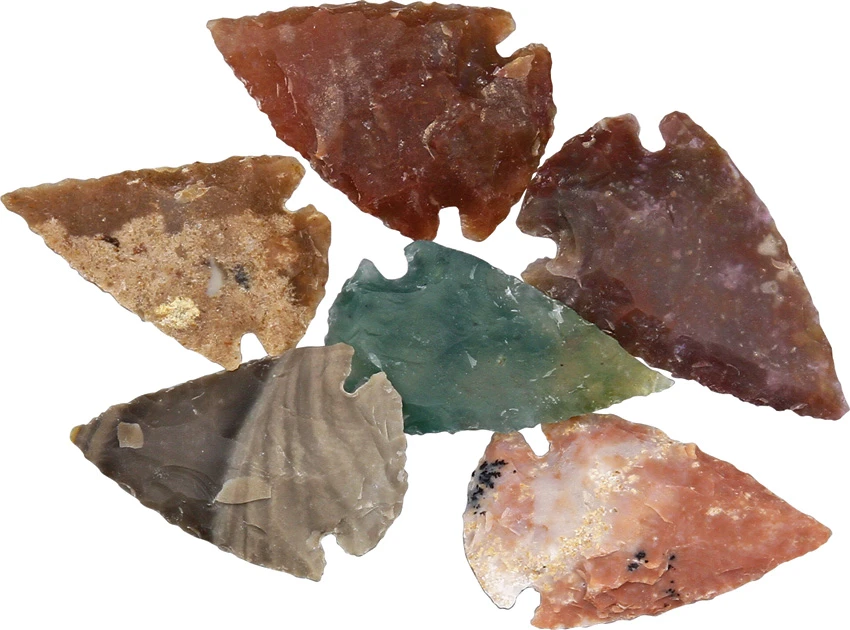 Arrowhead Arrowhead Assortment - Small