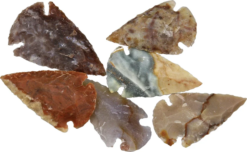 Arrowhead Arrowhead Assortment - Small