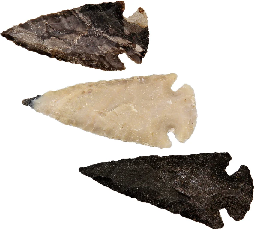 Arrowhead Arrowhead Assortment - Medium