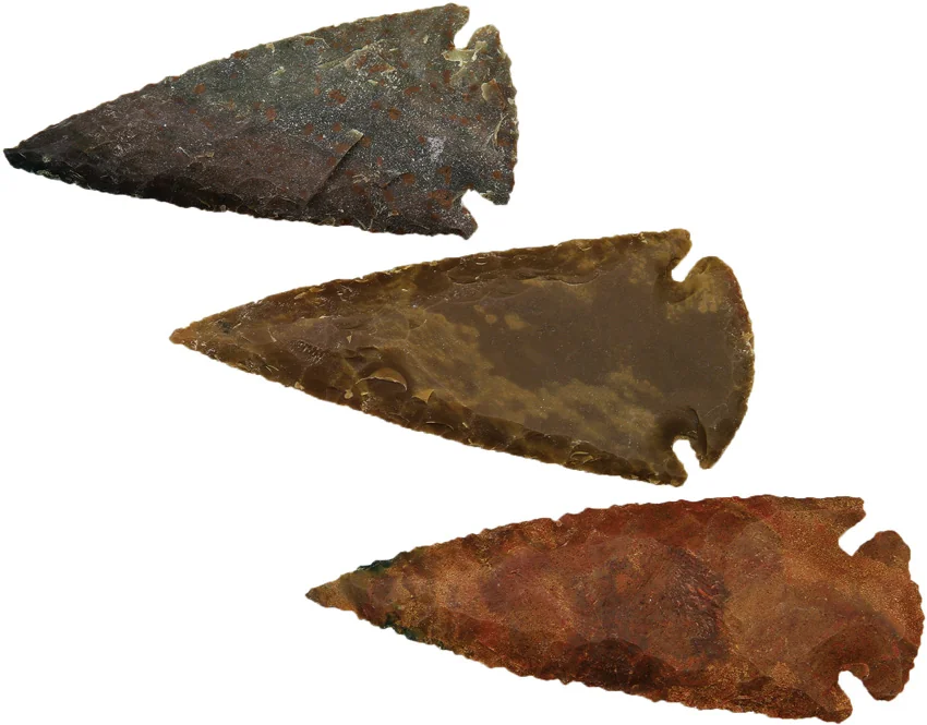 Arrowhead Arrowhead Assortment - Large
