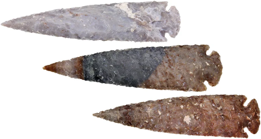 Arrowhead Arrowhead Assortment - XL