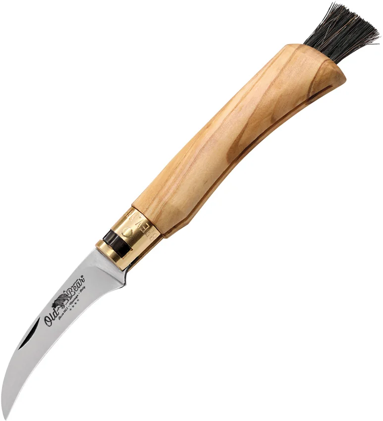 Antonini Old Bear Mushroom Knife Medium Olive Wood (3.2" Satin)
