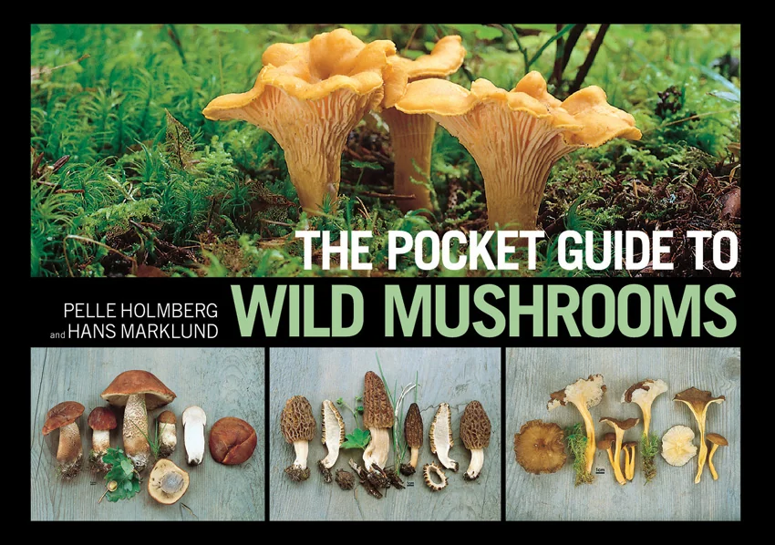 Books Pocket Guide To Wild Mushrooms