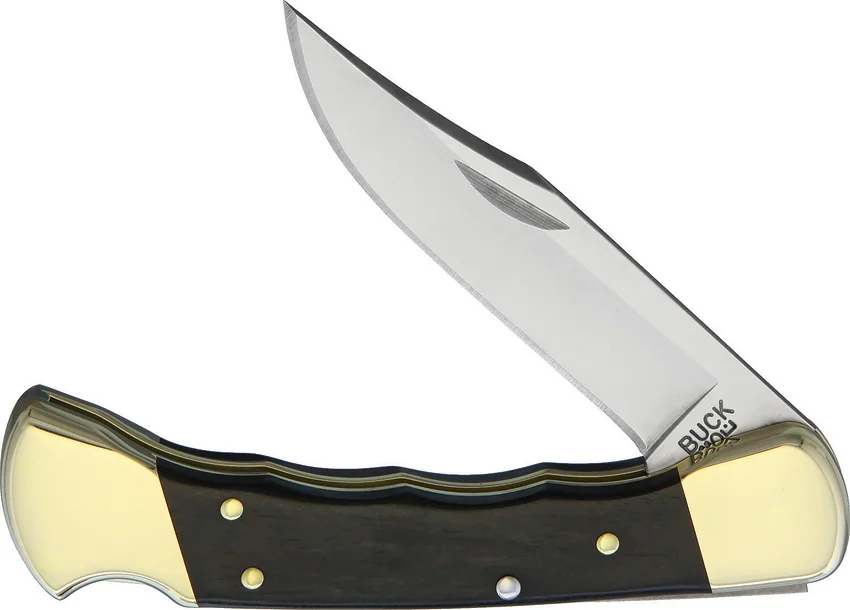 Buck 110 Folding Hunter Finger Grooved Knife Ebony (3.75" Satin) 0110BRSFG