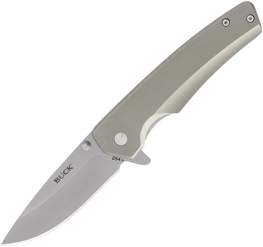 Buck Odessa Frame Lock Knife Stainless Steel (3.1" Satin) 0254SSS