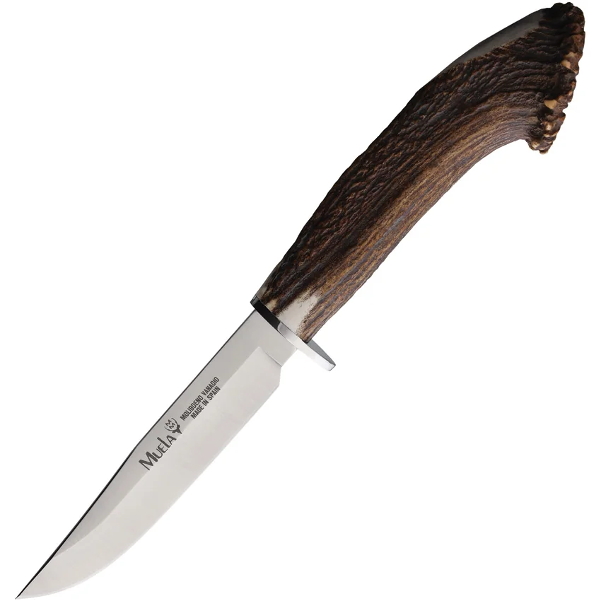 Muela Hunter Fixed Blade Knife Crown Stag (4.25" Satin)