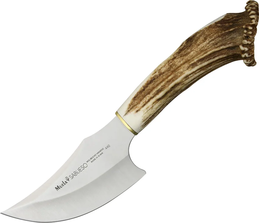 Muela Sabueso Fixed Blade Knife Crown Stag (4.25" Satin)