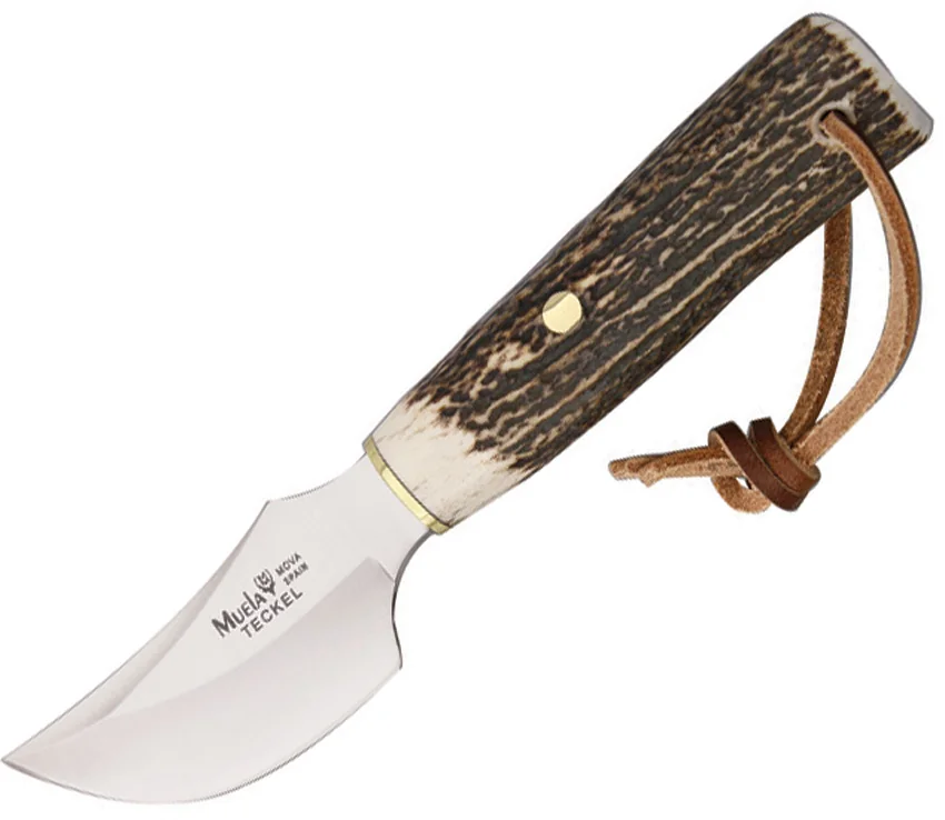 Muela Teckel Fixed Blade Knife Stag Horn (3" Satin)