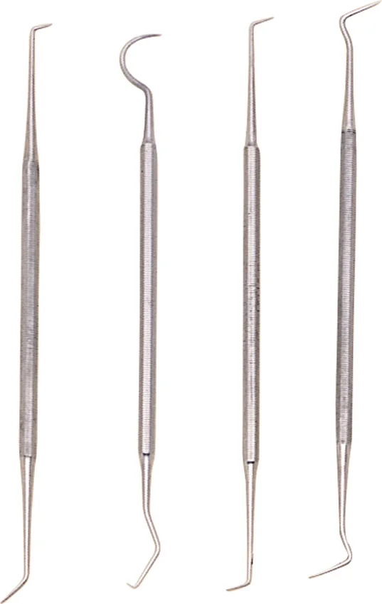 Pakistan Dental Pick Set