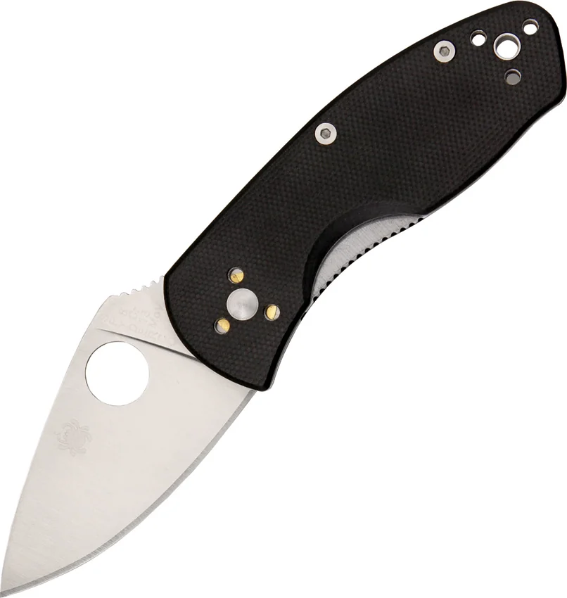 Spyderco Ambitious Knife (2.25" Satin) C148GP
