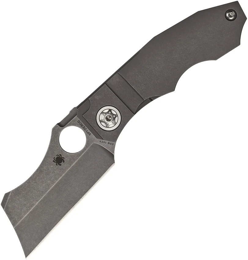 Spyderco Stovepipe Frame Lock Knife Titanium (2.8" Stonewash) C260TIP